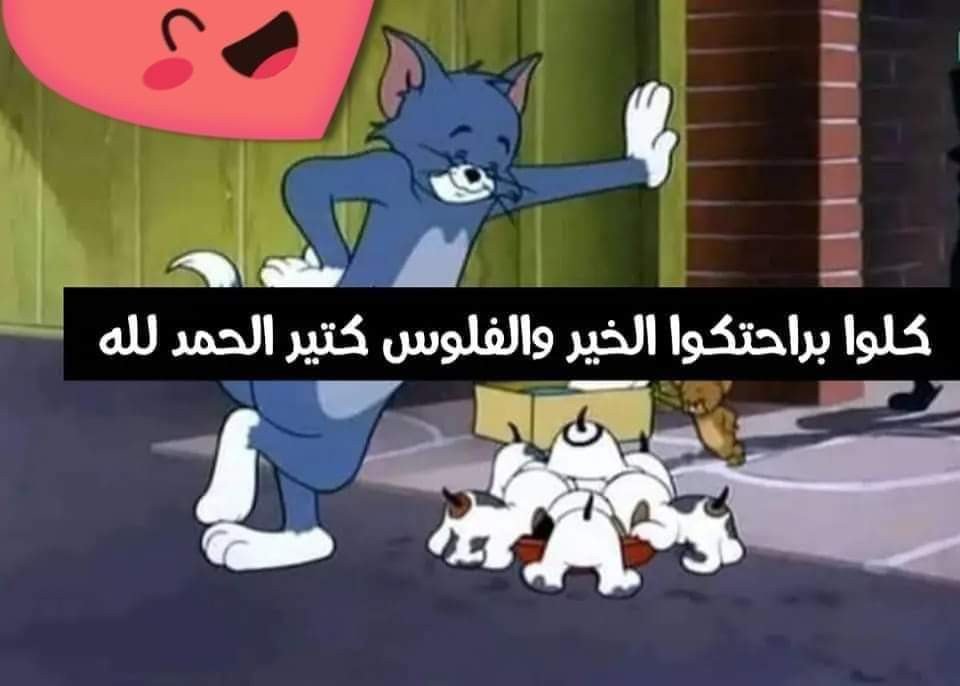 نازل مش معايا...