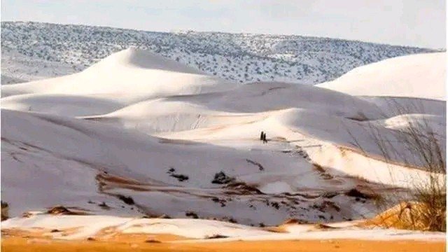 بشار و الصحراء و الثلوج ما شاء الله و سبحان الله