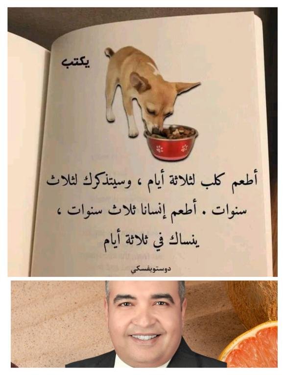 أطعم كلبك