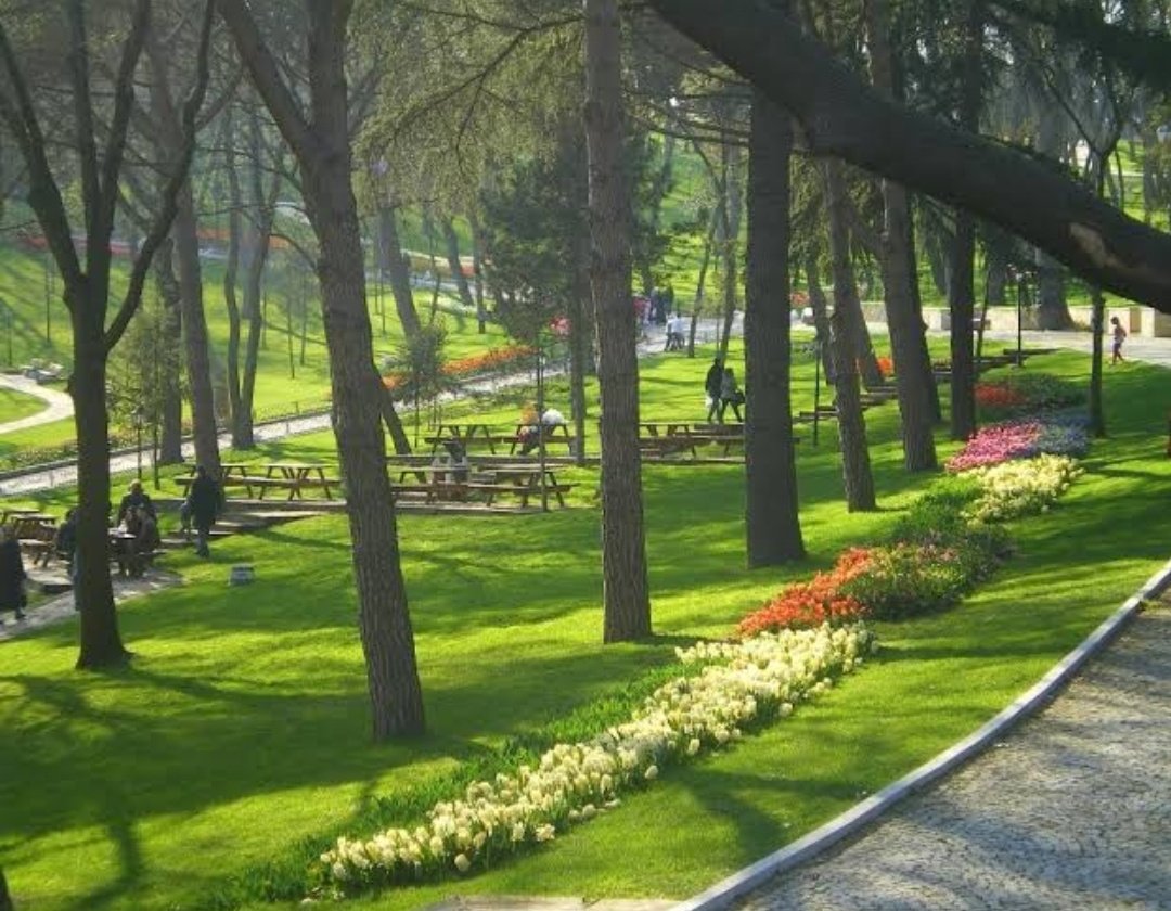 #حديقة_أميرجان (emirgan park)...