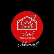 Aml Ahmed