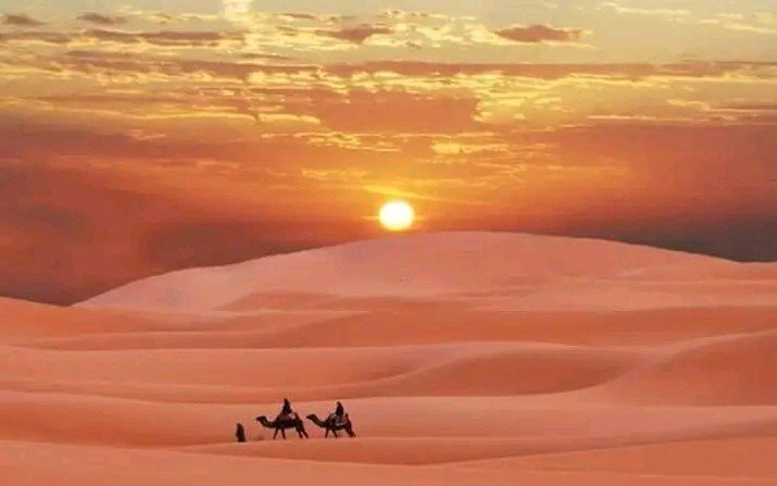 تتميز صحراء الجزائر...