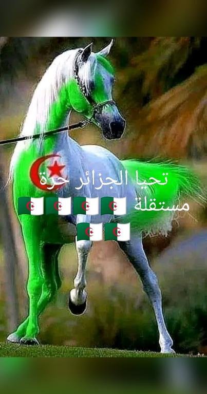 تحيا الجزائر حرة...